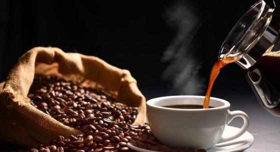Coffea arabica totalizaram 34,80 milhões de sacas, representando 76,35% das exportações