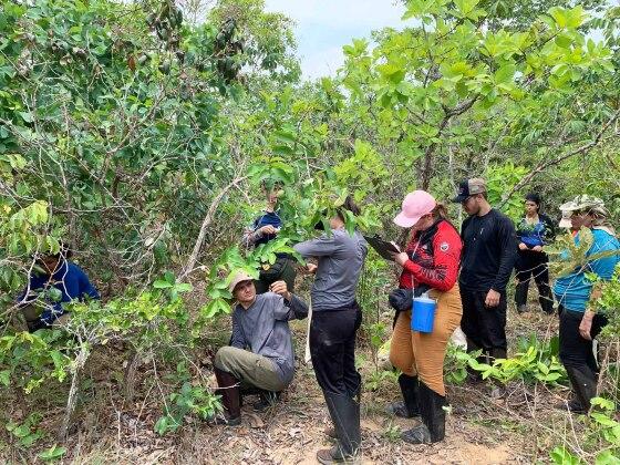 Curso de Biologia do Campus de Alta Floresta é uma referência em Educação Ambiental 