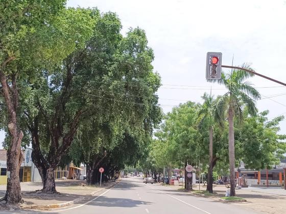 Arborização nas ruas centrais de Alta Floresta formam corredores verdes