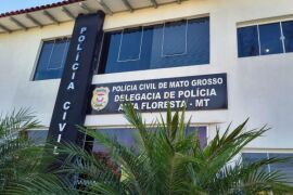 Reprodução