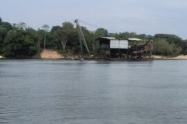 Foto: Divulgação/Ibama