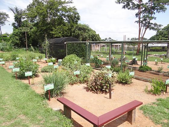 Horto também serve para pesquisas dos acadêmicos