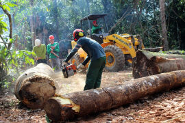 Foto: Frederico Brandão/WWF