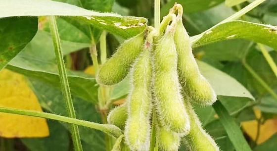 Em 2024/2025 foram cadastradas 16.319 Unidades