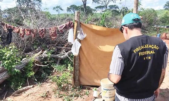 4 trabalhadores resgatados em condições análoga a escravidão em fazenda