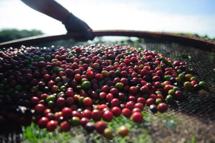 Marcelo Camargo/Agência Brasil