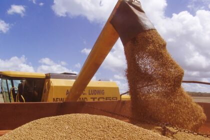  Ministério da Agricultura, Pecuária e Abastecimento