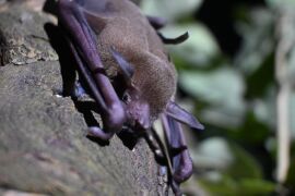 Foto por: Vitória Matheus